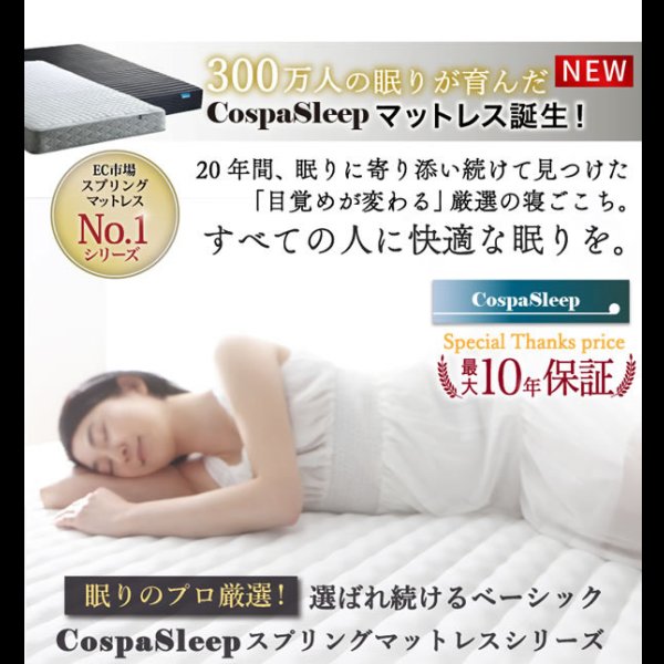 画像18: 使いやすさを改善した満足フロアベッド【Terence】 7色展開 (18)