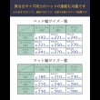 画像7: 日本製：フロアベッドで絶大な人気！棚照明付フロアベッド190 大幅値下げ (7)
