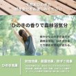 画像13: 日本製無塗装ひのきすのこベッド：ロールタイプ 超特価 (13)