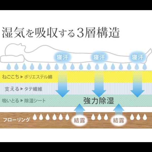 画像4: 【大幅値下げ】吸湿する1枚で寝られるオールインワン敷布団【カラリフトン】 (4)