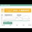 画像10: 【大幅値下げ】吸湿する1枚で寝られるオールインワン敷布団【カラリフトン】 (10)