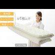 画像17: 【大幅値下げ】吸湿する1枚で寝られるオールインワン敷布団【カラリフトン】 (17)