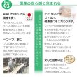 画像11: ガス圧式跳ね上げ＆BOX型引き出し収納連結ベッド【Valiente】バリエンテ ヘッドレス仕様 日本製 (11)