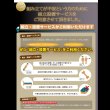 画像24: 頑丈ベッドシリーズ【Tough】タフ　日本製ガス圧式収納ベッド (24)