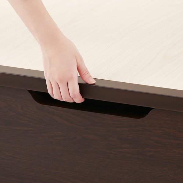 画像19: 国産ガス圧式収納ベッド【Amaryllis】アマリリス 人気NO1！ (19)