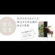 画像7: シンプルデザイン頑丈設計ロフトベッド【Aimee】 (7)