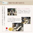 画像12: 日本製ショート丈チェストベッド【Ralf】ラルフ (12)