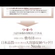 画像5: 通気性に優れた国産すのこ仕様大容量収納チェストベッド【Nicola】 (5)