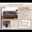 画像4: カウチソファバタフライ (4)