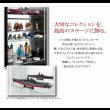 画像3: 壁面収納家具シリーズ　LED照明付きコレクションラック ワイド (3)