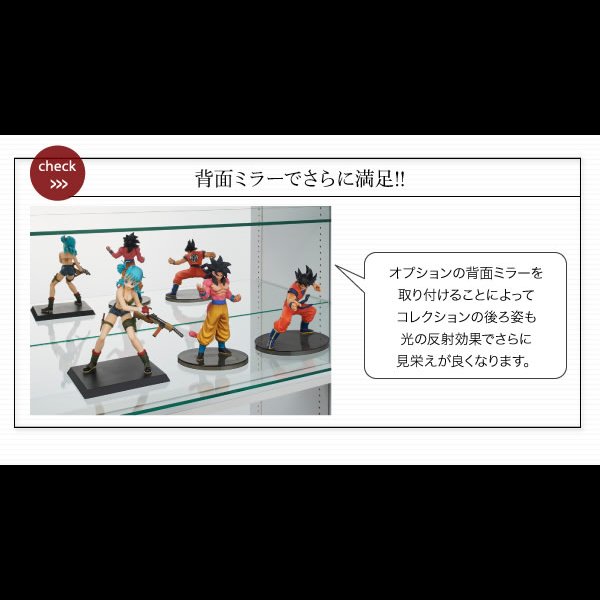 画像7: 壁面収納家具シリーズ　コレクションラック ワイド (7)