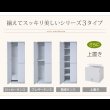 画像6: お買い得価格 壁面収納家具ロッカーシリーズ【Salus】サルース (6)