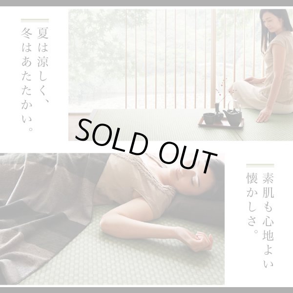 画像5: 日本製美草畳仕様：ヘッドレスデザインモダン畳ベッド【神楽】かぐら (5)