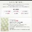 画像12: 日本製美草畳仕様：ヘッドレスデザインモダン畳ベッド【神楽】かぐら (12)