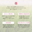 画像11: 日本製！低ホルムアルデヒド・床下収納庫付き畳ユニット【波那】 (11)