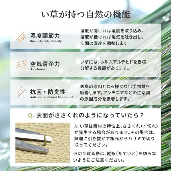 画像12: 深さ・カラー・長さが選べる！収納庫付き畳ユニット【大維志】 (12)