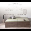 画像2: い草張り床板×PALMLOOP仕様床下収納付きベッド【Ismael】 (2)