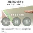 画像12: い草張り床板×PALMLOOP仕様床下収納付きベッド【Ismael】 (12)