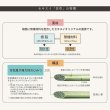 画像30: ヘッドレス仕様国産跳ね上げ式畳ベッド【昇月】選べる畳・ロングサイズも (30)