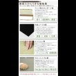 画像3: 日本製！高さ調整付きスライド棚・照明付き畳ベッド【弥生】　MIGUSA等選べる機能畳 (3)