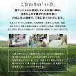 画像14: 畳も布団も干せる簡単組立畳ベッド シングル【綾匠】モダン棚コンセント付き (14)