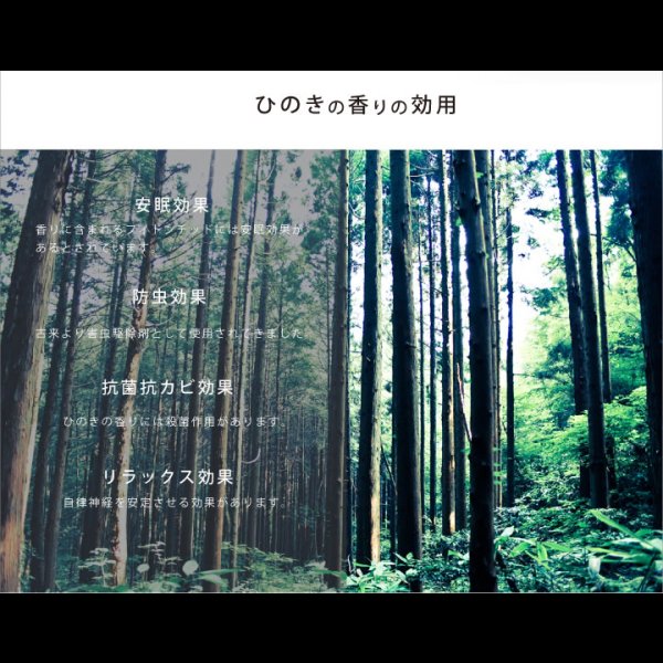 画像12: 高さ調整可能！棚・コンセント付き島根県産高知四万十産ひのき畳ベッド (12)