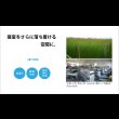 画像16: 高さ調整可能！棚・コンセント付き島根県産高知四万十産ひのき畳ベッド (16)